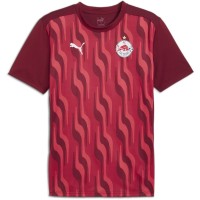 футболни,фланелки,aston,villa,sheffield,wednesday,hertha,berlin,турска,суперлига,фланелки,от,различни,клубове,разпродажба,puma,мъжки,тениски,мъжки,горнища,