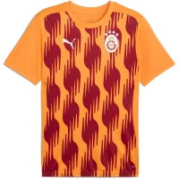 футболни,фланелки,aston,villa,oldham,athletic,sheffield,wednesday,stoke,city,sunderland,hertha,berlin,република,ирландия,футболни,фланелки,турска,суперлига