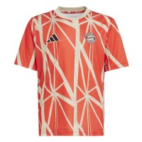 футболни,фланелки,oldham,athletic,stoke,city,sunderland,германия,бундеслига,fc,bayern,munich,fc,nurnberg,fc,schalke,04,други,фланелки,от,бундеслигата,vfb,s