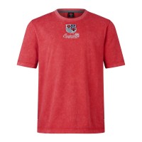 мъжка,тениска,ръгби,облекла,ръгби,фланелки,canterbury,british,&amp;,irish,lions,heritage,t,shirt,2025,mens,red,haut