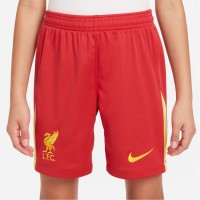 юношески,къси,панталони,футболни,фланелки,oldham,athletic,stoke,city,sunderland,република,ирландия,футболни,фланелки,английската,висша,лига,southampton,liv