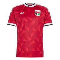 футболна,фланелка,футболни,фланелки,национални,отбори,adidas,united,arab,emirates,away,shirt,world,cup,™,2026,adults,red,white