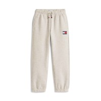 анцуг,tommy,hilfiger,kids,heritage,jog,closed,hem,fleece,joggers,light,grey,p01