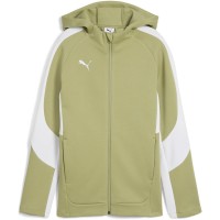 детско,горнище,puma,unisex,kids,teamevostripe,hooded,performance,tracksuit,top,clmnggrn,sl,wht