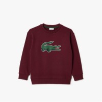 блуза,детски,облекла,lacoste,big,logo,crew,sweatshirt,burgundy,yup