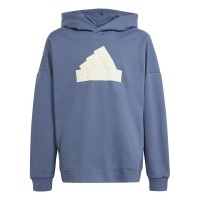 детски,суичър,разпродажба,adidas,детски,горнища,с,качулка,детски,облекла,adidas,u,fi,logo,hd,hoody,boys,blue