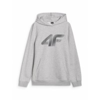 суичър,мъжки,горнища,с,качулка,4f,oth,logo,hoodie,grey