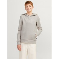 jack,and,jones,corp,logo,hoodie,junior,boys,moonbeam