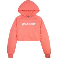 юношески,суичър,детски,облекла,tommy,hilfiger,monotype,hoodie,juniors,red,xki