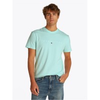 тениска,мъжки,тениски,tommy,jeans,tjm,reg,linear,logo,tee,ext,spring,mint