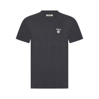 ucla,small,lgo,t,sn99,grey