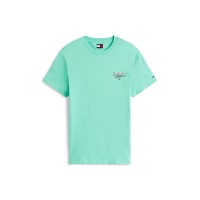 тениска,мъжки,тениски,tommy,jeans,back,flag,logo,t,shirt,sig,city,green