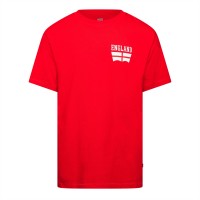 мъжки,ежедневни,облекла,мъжки,тениски,levis,lsered,tab,vin,sn99,lft,englande