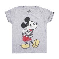 детски,тениски,дамски,стоки,с,аним.,герои,детски,облекла,disney,t,shirt,jn99,grey