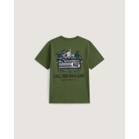 vans,dumpstr,raccoon,jn64,green