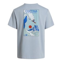 мъжка,тениска,мъжки,тениски,the,north,face,tnf,mountain,celebration,t,shirt,mens,frost,grey