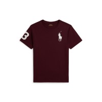 блуза,с,яка,polo,ralph,lauren,polo,big,pp,tee,jn64,rich,ruby