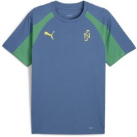 тениска,мъжки,тениски,облекла,с,футболна,тема,футболни,горнища,puma,neymar,jr,bna,2.0,t,shirt,adults,blue