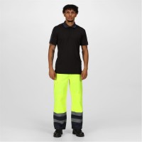 работни,панталони,работни,облекла,всички,работни,облекла,regatta,phiviscargo,sn99,yellow,navy