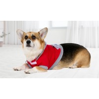 за,домашни,любимци,аксесоари,на,разпродажба,edco,dog,sweater,00,multi