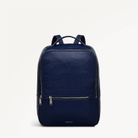 всички,чанти,аксесоари,на,разпродажба,radley,s,zip,bkpk,99,evenfall