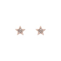 аксесоари,на,разпродажба,ted,baker,sidney,earrings,rose,gold,tone