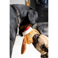 за,домашни,любимци,аксесоари,на,разпродажба,grinch,dog,toy,99,max