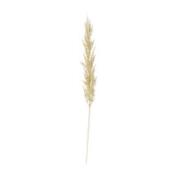 аксесоари,на,разпродажба,gallery,pmps,grass,3pk,99,cream