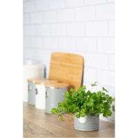 аксесоари,на,разпродажба,typhoon,herb,planter,grey