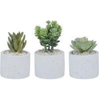 градина,/,на,открито,arti,casa,single,artifical,plant,none