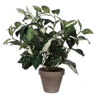градина,/,на,открито,аксесоари,на,разпродажба,mica,cordyline,green,in,pot,stan,grey,green