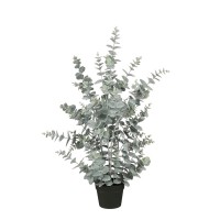 градина,/,на,открито,аксесоари,на,разпродажба,mica,eucalyptus,in,pot,green,green