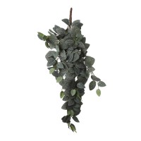 градина,/,на,открито,аксесоари,на,разпродажба,mica,fittonia,hanging,green,green