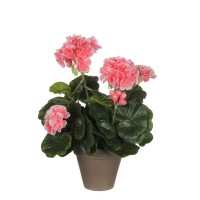 градина,/,на,открито,аксесоари,на,разпродажба,mica,geranium,in,pot,stan,grey,peach