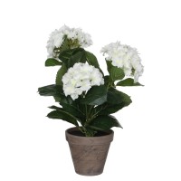 градина,/,на,открито,аксесоари,на,разпродажба,mica,hydrangea,in,pot,stan,grey,white