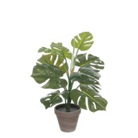 градина,/,на,открито,аксесоари,на,разпродажба,mica,monstera,green,in,pot,stan,grey,green