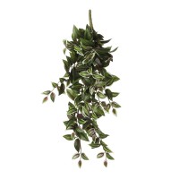 градина,/,на,открито,аксесоари,на,разпродажба,mica,tradescantia,hanging,green,green