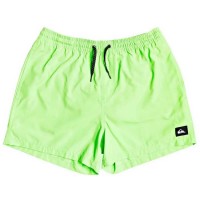 бански,гащета,мъжки,бански,костюми,quiksilver,everyday,volley,15´´,swimming,shorts,green,(green,gecko)