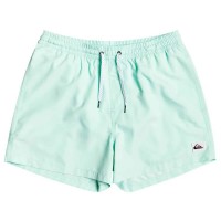 бански,гащета,мъжки,бански,костюми,quiksilver,everyday,volley,15´´,swimming,shorts,beach,glass,(green)