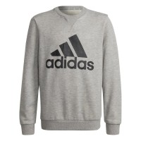 блуза,детски,блузи,adidas,essentials,sweatshirt,grey,(medium,grey,heather,black)