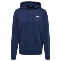 суичър,дамски,блузи,hummel,austin,hoodie,dress,blue,(blue)