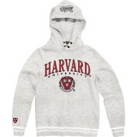 суичър,мъжки,пуловери,replay,cotton,hoodie,grey,(ash,grey,melange)