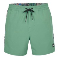 бански,гащета,мъжки,бански,костюми,o´neill,coast,ocean,15´´,swimming,shorts,green,(sea,green)