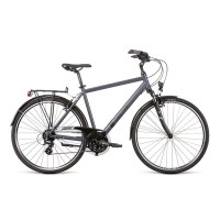 пътни,и,градски,велосипеди,dema,arosa,2,bike,silver,(grey,black)