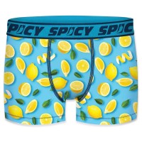 боксерки,мъжко,бельо,spicy,t678,3,boxers,multicolor,(multicolor)