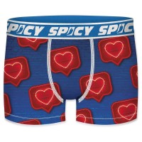 боксерки,мъжко,бельо,spicy,t679,2,boxers,multicolor,(multicolor)