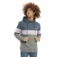 суичър,мъжки,пуловери,hydroponic,harlem,hoodie,blue,grey,(dark,blue,rose,heather,grey)