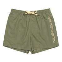 бански,гащета,мъжки,бански,костюми,quiksilver,behind,wave,swimming,shorts,green,(four,leaf,clover)