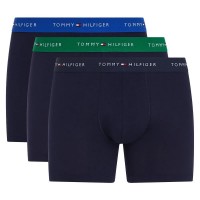 боксерки,мъжко,бельо,tommy,hilfiger,signature,essential,brief,boxers,3,units,multicolor,(dsrt,sky,ultra,blue,n,green)
