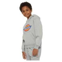 юношески,суичър,мъжки,пуловери,dickies,youth,logo,hoodie,knit,black,(grey)